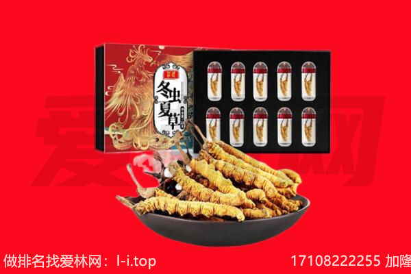 山海关区回收虫草.jpg